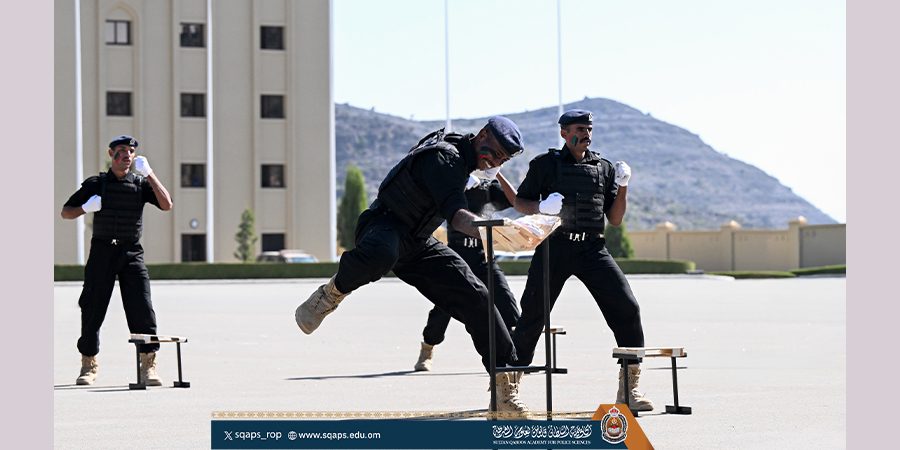 برنامج حفظ النظام التأسيسي